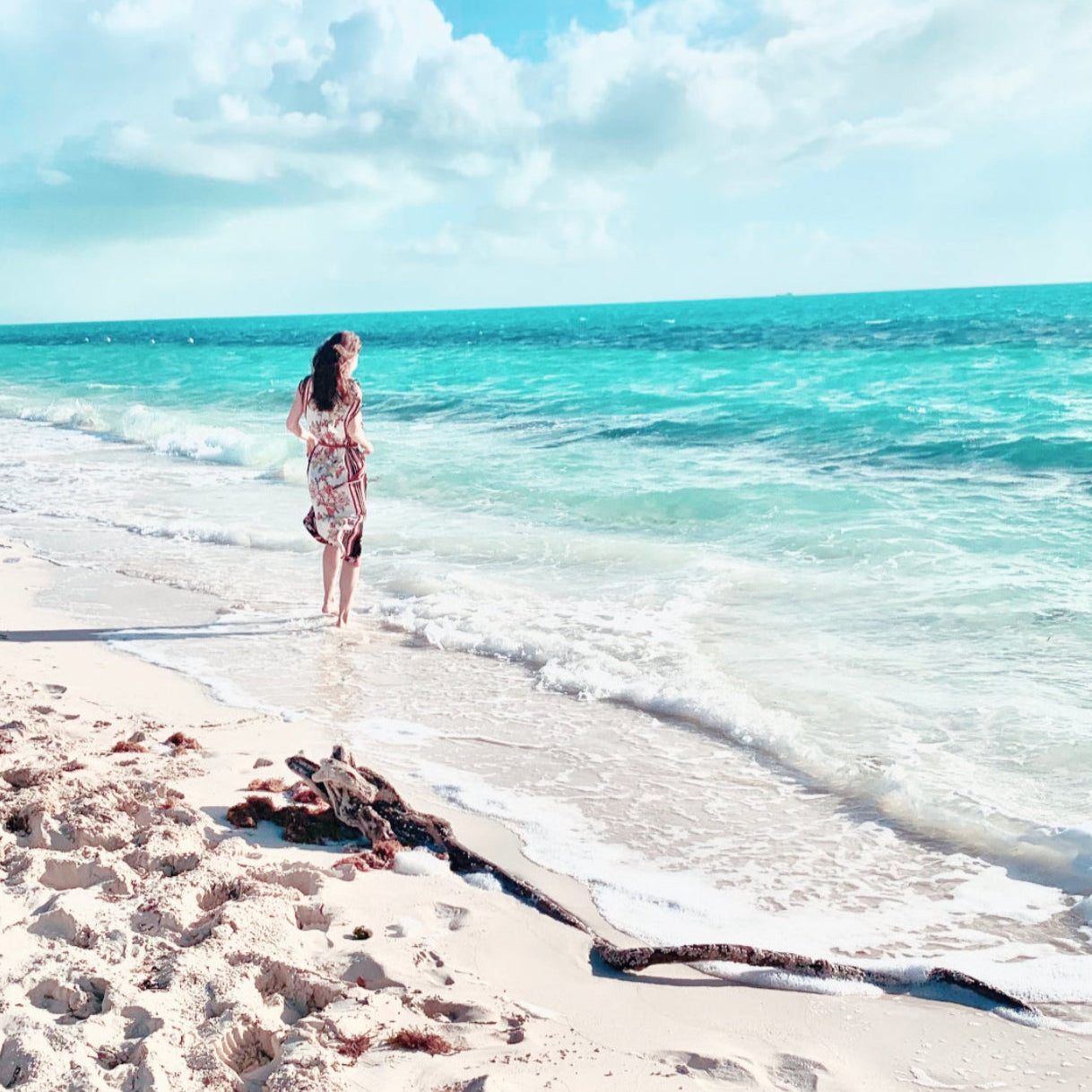 4 Week Detox and Weight Loss Program with Dr. Wilkinson