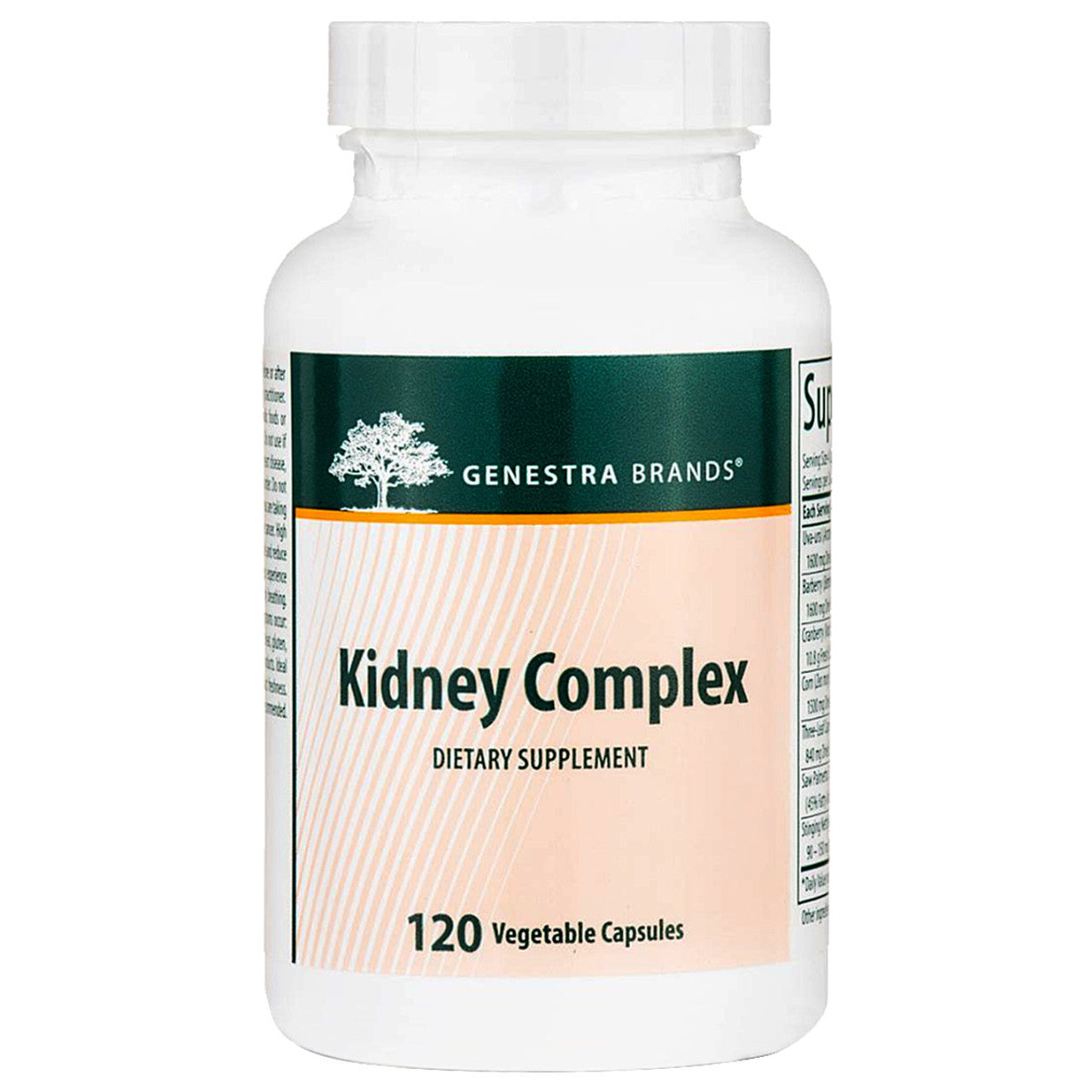 Kidney Complex