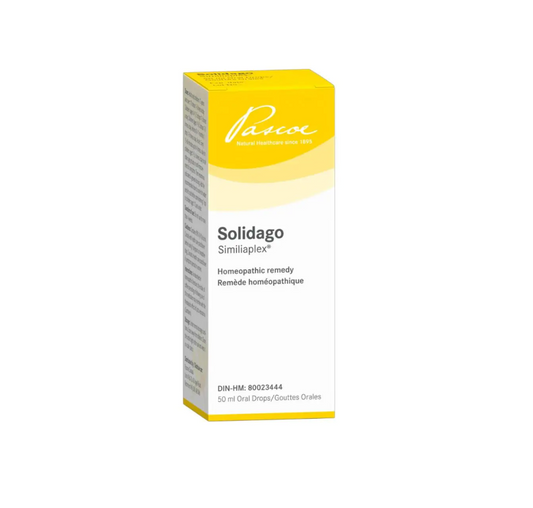 Solidago Similiaplex