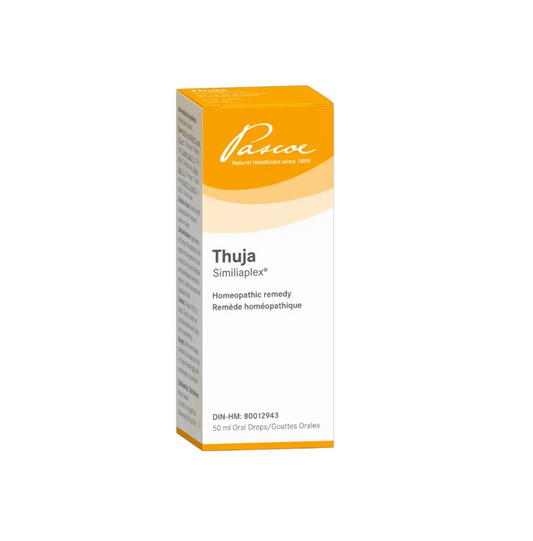 Thuja Similiaplex