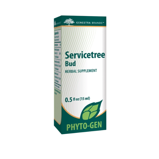 Service Tree Bud